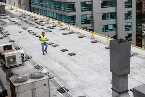 Best Roof Maintenance and Cleaning  in Wright City, MO