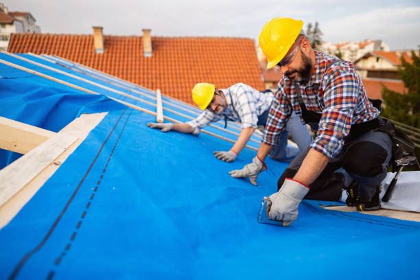 Best Chimney Flashing Repair  in Wright City, MO