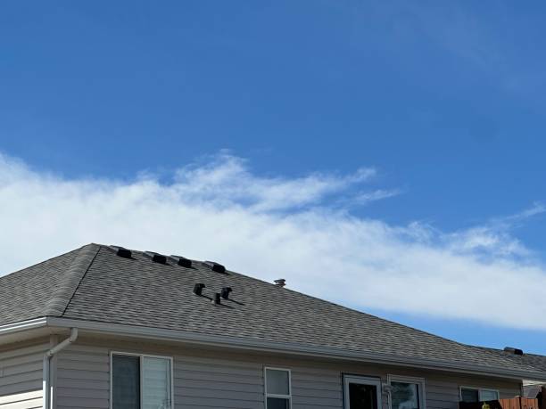 Best Rubber Roofing (EPDM, TPO)  in Wright City, MO